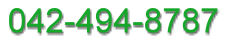 �d�b��t��p�`�ԍ��@042-494-8787